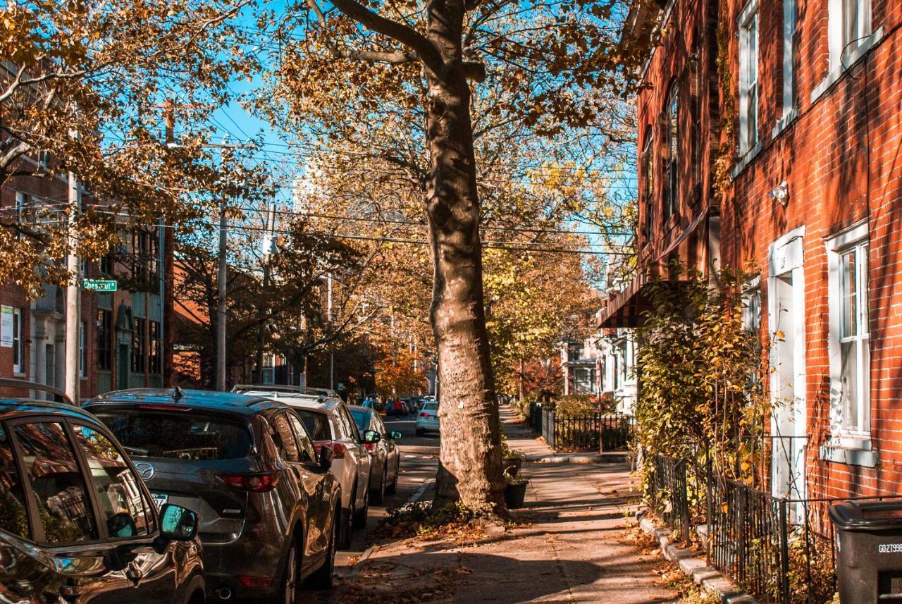 Gorgeous 1Br Wooster Sq. Apt. - Wshr/Dryr, Parking Нью-Хейвен Экстерьер фото